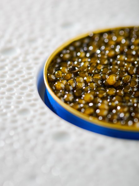 Caviar petrossian